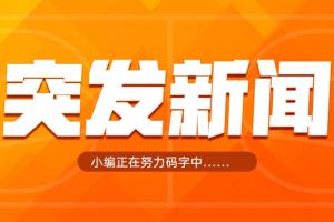 免費老鷹vs灰熊在線觀看_免費老鷹vs灰熊在線觀看在線觀看_免費看直播
